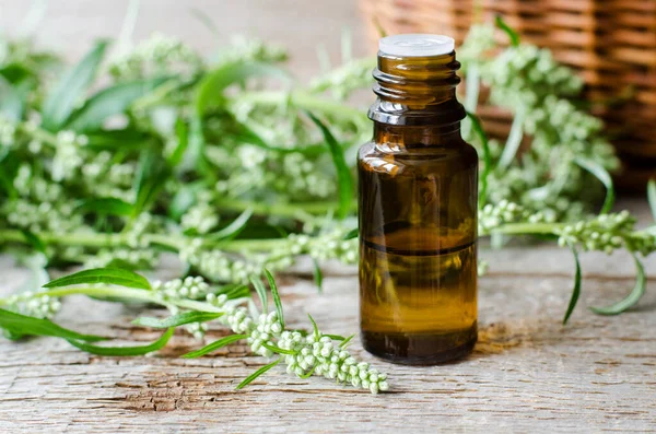 Kleine Fles Met Essentiële Alsem Olie Extract Tinctuur Infusie Oude — Stockfoto