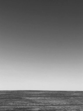 Vertical photo. Black and white photo of the field. Clear sky without clouds. High-quality photo