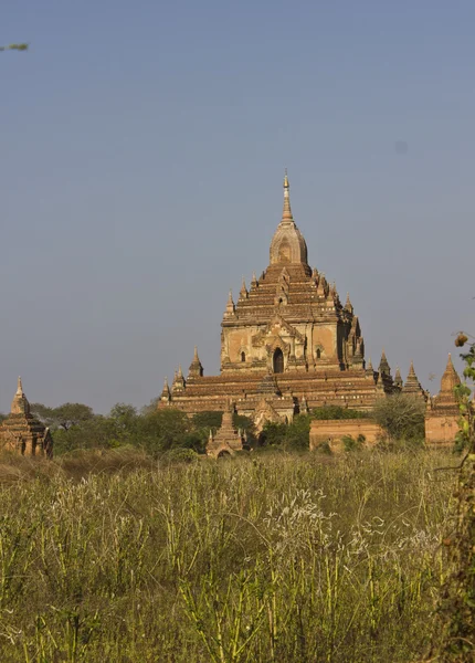 Temples in Bagan — Stock Photo, Image