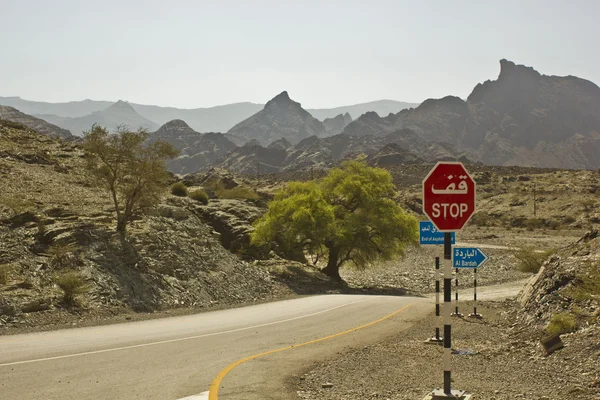 Umman sokak yalak çöl ve dağlar