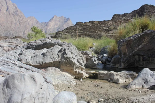 Wadi bani awf cennet, Umman. — Stok fotoğraf