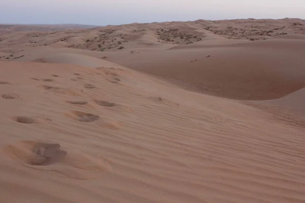 Пустыня на рассвете — стоковое фото