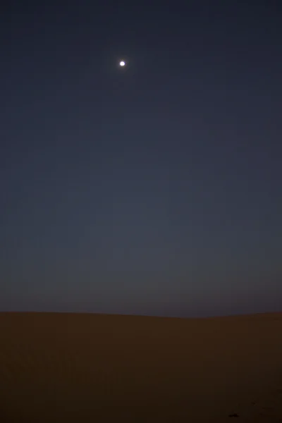 Місячне світло в пустелі — стокове фото