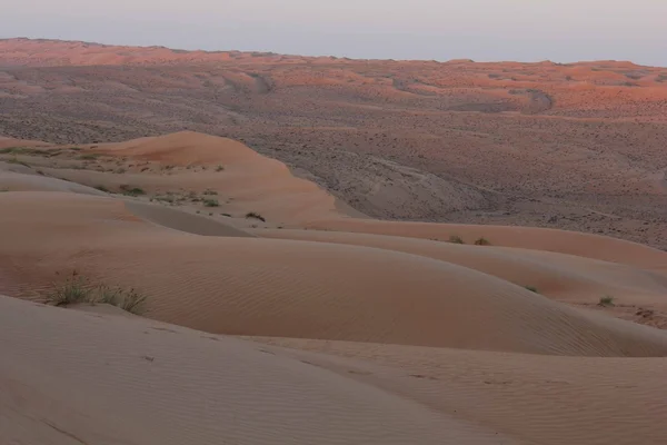 Рассвет в пустыне — стоковое фото