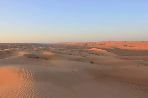 Песчаная пустыня на закате — стоковое фото