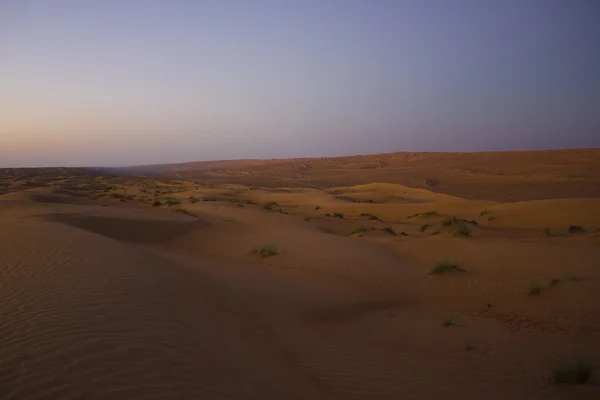 Пустыня на рассвете — стоковое фото