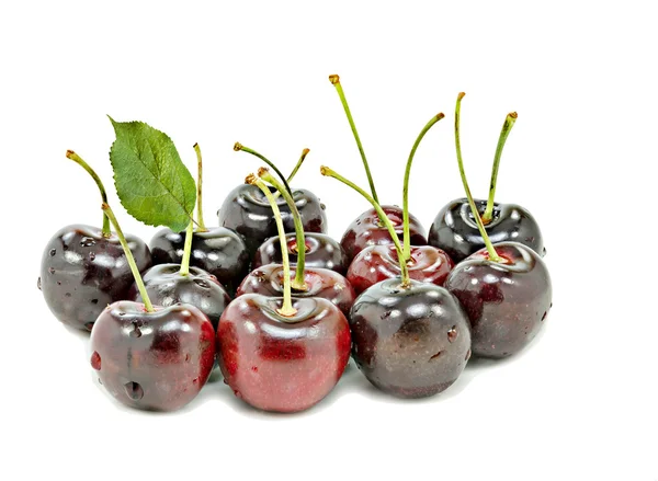 Cereza fresca aislada sobre fondo blanco —  Fotos de Stock