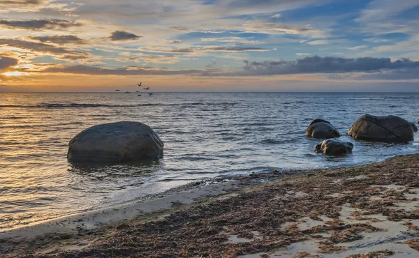 Stenig strand på distriktet Kurland i Östersjön, Lettland — Stockfoto