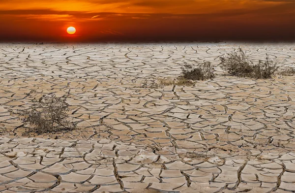지구 온난 화는 우리의 문명에 대 한 진짜 위협 — 스톡 사진