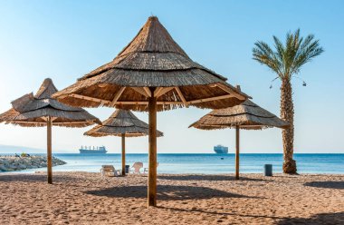 Sandy plaj şemsiye