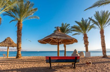 Arkadaki görüntüde bir kadın bankta oturuyor ve köpek ayakta duruyor, sabah Kızıl Deniz 'in kumlu sahilinde, Eilat, İsrail 