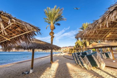 palmiye ağaçları ve şemsiye ile tropikal plaj