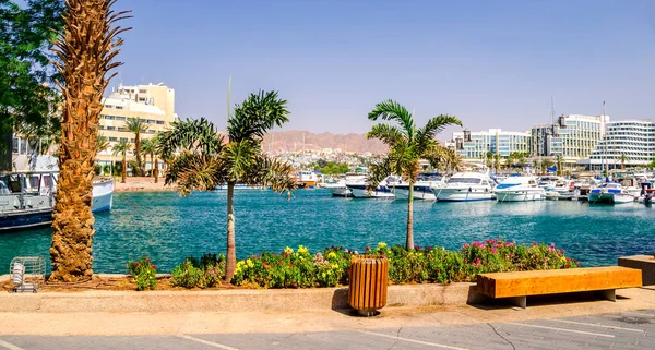 Marina Central Com Iates Prazer Lanchas Eilat Famosa Estância Turística — Fotografia de Stock