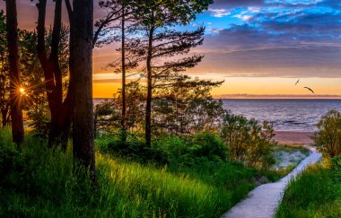 Letonya 'nın ünlü turizm beldesi Jurmala' da Baltık Denizi 'nin kumlu sahillerine giden patika. Görüntü, Baltık bölgesinde ekolojik turizmin gelişmesini betimliyor