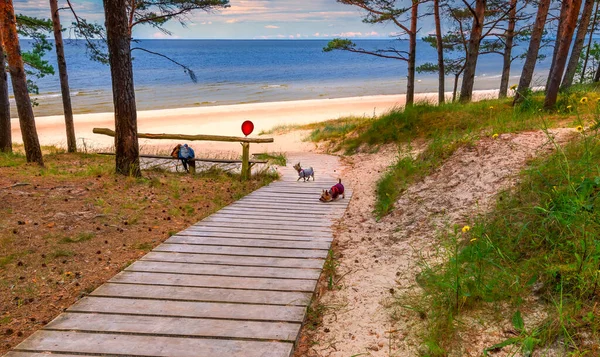 Resting Spot Playing Board Footpath Leading Shore Baltic Sea — Stock Fotó
