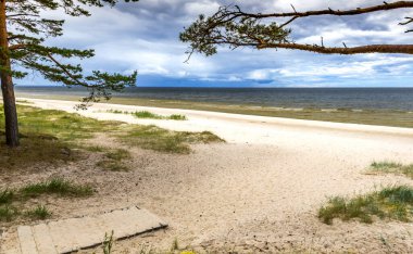 Wooden resting spot and footpath leading to sandy beach of the Baltic Sea