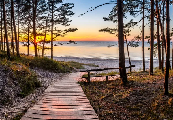 Wooden footpath leading to a beach of the Baltic Sea. Concept of happy, bliss and healthy summer vacation in ecologically clean Baltic region of Eastern Europe