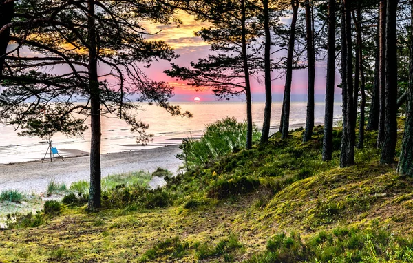 Sandy beach and forest dune area of the Baltic Sea. Concept of happy, bliss and healthy summer vacation in ecologically clean Baltic region of Eastern Europe