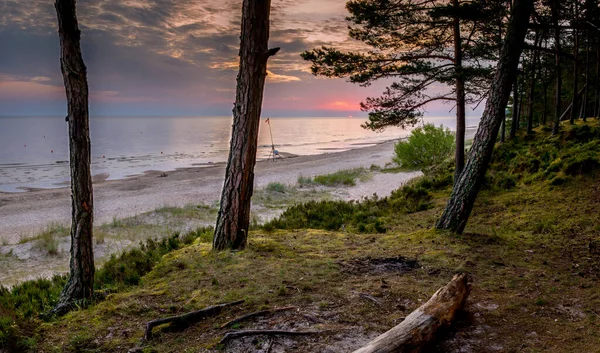 Sandy Beach Forest Dune Area Baltic Sea Dawn Concept Happy — Stock Photo, Image