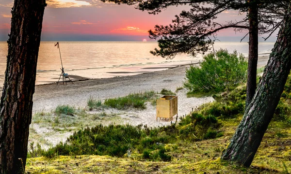 Sandy Beach Forest Dune Area Baltic Sea Dawn Concept Happy — ストック写真