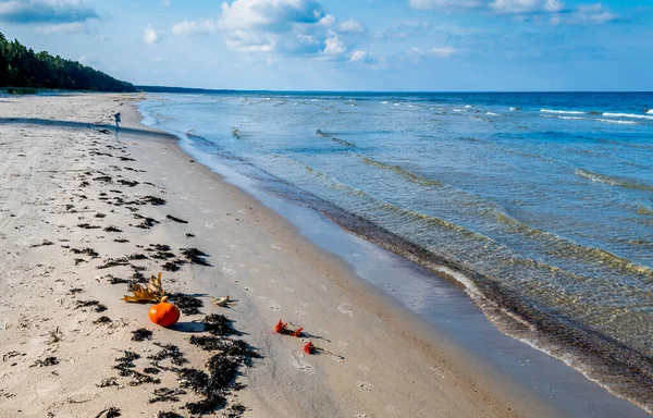 Φθινοπωρινή Θεματική Εικόνα Ώριμη Κολοκύθα Θολή Φόντο Την Αμμώδη Παραλία — Φωτογραφία Αρχείου