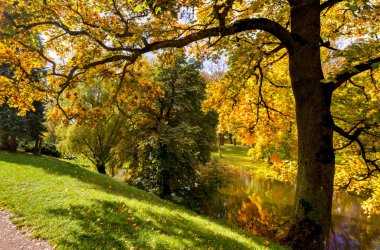 Sonbahar parkı manzarası renkli ağaçlar, göl veya göl veya nehir