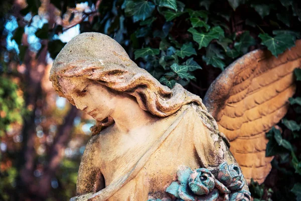 Positief Bevestigend Beeld Met Een Engelfiguur Het Zonlicht Een Symbool — Stockfoto