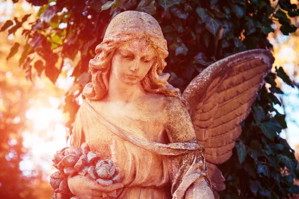 正面的 肯定形象与天使在阳光下的形象 同情和心理帮助的象征 — 图库照片