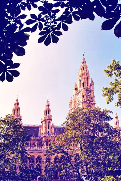 Het Oorspronkelijke Uiterlijk Van Het Stadhuis Van Wenen Onder Bomen — Stockfoto