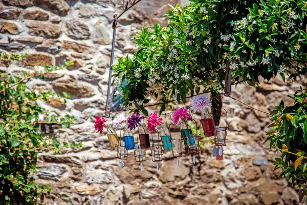 Flowers Jars Middle Street Background Jasmine Flowers Stone Wall — Stockfoto