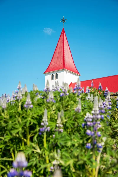 Denizin Arka Planındaki Ünlü Vik Kilisesi Vikurkirkja Zlanda Daki Trolün — Stok fotoğraf