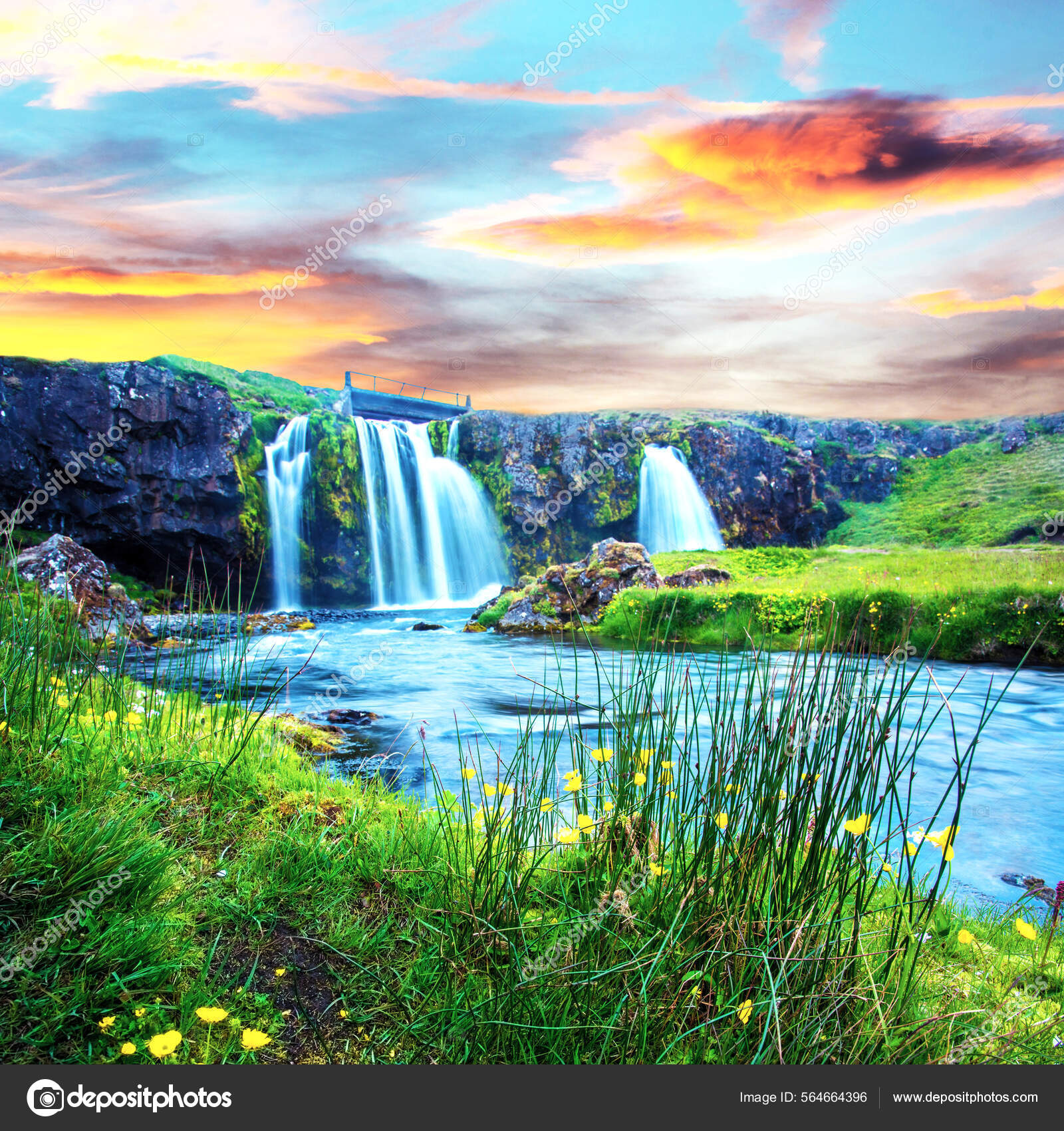Beautiful Scenery Waterfall Kirkjufell Yellow Flowers Dawn Iceland Exotic  Countries — Stock Photo © Andrij-Ter #564664396, image size:1600x1700