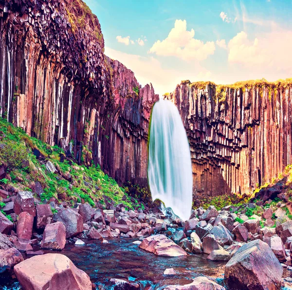Волшебный Пейзаж Знаменитым Водопадом Сват Посреди Базальтовых Столбов Скафтафелле Национальный — стоковое фото