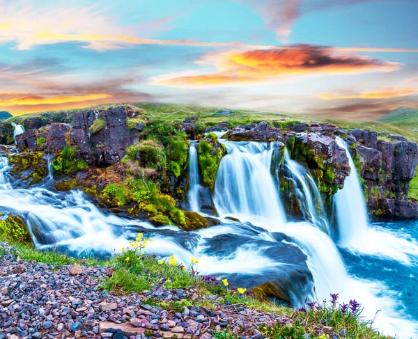 Beautiful Scenery Waterfall Kirkjufell Yellow Flowers Dawn Iceland Exotic Countries — Stock fotografie