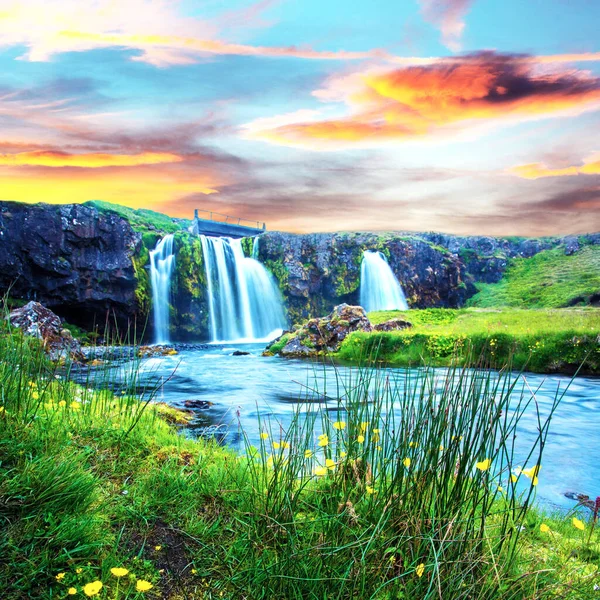 Beau Paysage Avec Une Cascade Kirkjufell Des Fleurs Jaunes Aube — Photo