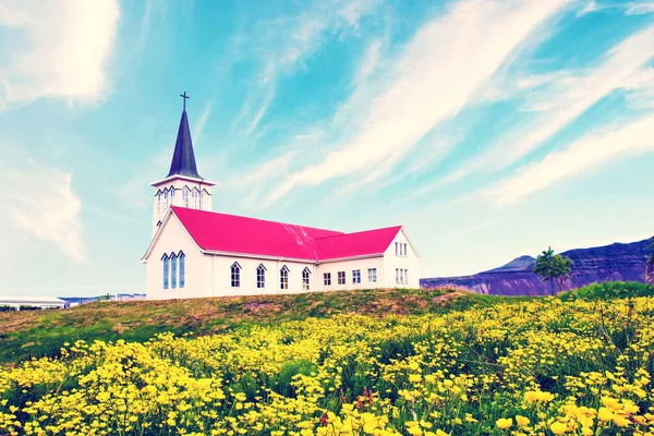 Beautiful Landscape Grundafjordur Church Yellow Flowers Waterfall Kirkjufell — Stockfoto