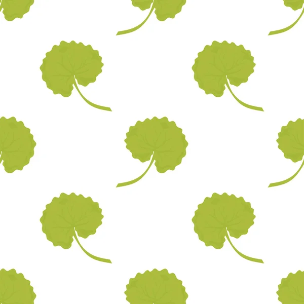 Gotu Kola Feuilles Tige — Image vectorielle