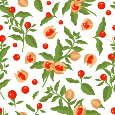 Ashwagandha. Şifalı bitki, bitki. Kök, meyvesiz arkaplan deseni