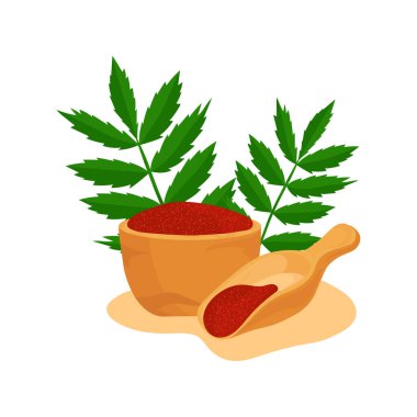 Sumac. Bitki. Yapraklar, toz. Kadeh, kepçe.
