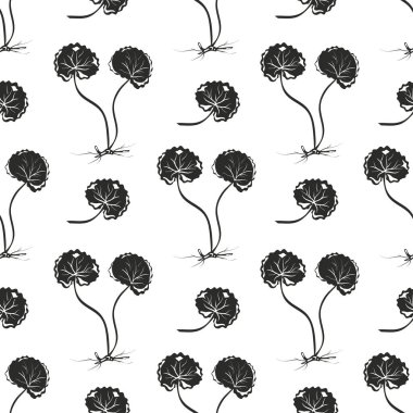 Gotu kola. Yapraklar, kök. Siyah siluet. Kusursuz..