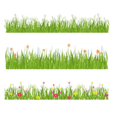 Çiçekler ve çimenler. Çiçek açan alan, çayır.