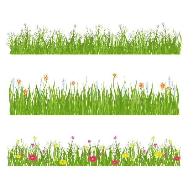 Blumen und Gras. Blühendes Feld, Wiese. — Stockvektor
