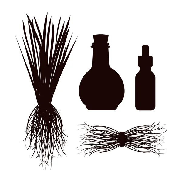 Vetiver. Planta, raíz, aceite. Silueta negra sobre fondo blanco. — Archivo Imágenes Vectoriales
