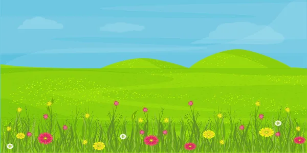 Луг. Квіти, трава, пагорб, небо. Літній пейзаж . — стоковий вектор