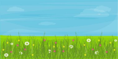 Saha, çayır. Çiçekli ve otlu bir ova. Mavi gökyüzü.