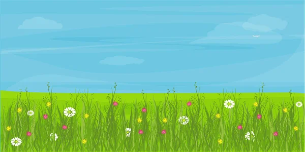Feld, Wiese. Eine Ebene mit Blumen und Gras. Blauer Himmel. — Stockvektor