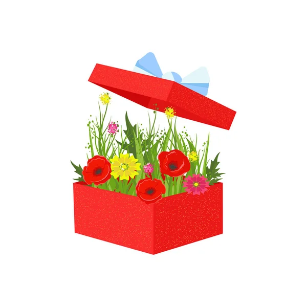 Ein Blumenstrauß Einer Roten Schachtel Mohn Gänseblümchen — Stockvektor