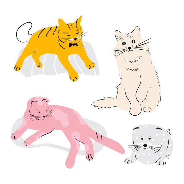 Eine Reihe Von Katzen Die Tiere Liegen Sitzen Skizze Doodle — Stockvektor