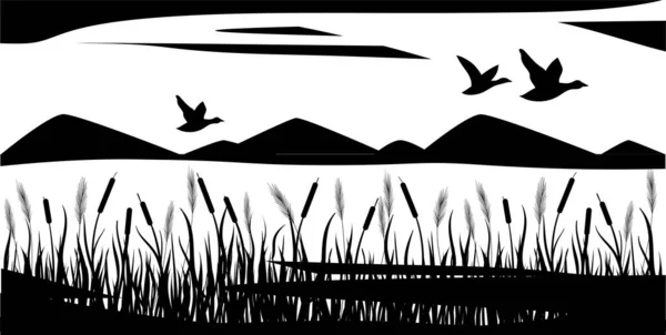 Carex Quenouille Poussent Les Canards Les Oies Volent Silhouette Noire — Image vectorielle
