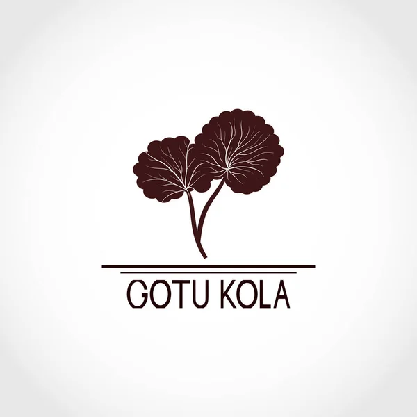Hierba Gotu Kola. Centella asiatica. Planta medicinal. Logotipo — Vector de stock